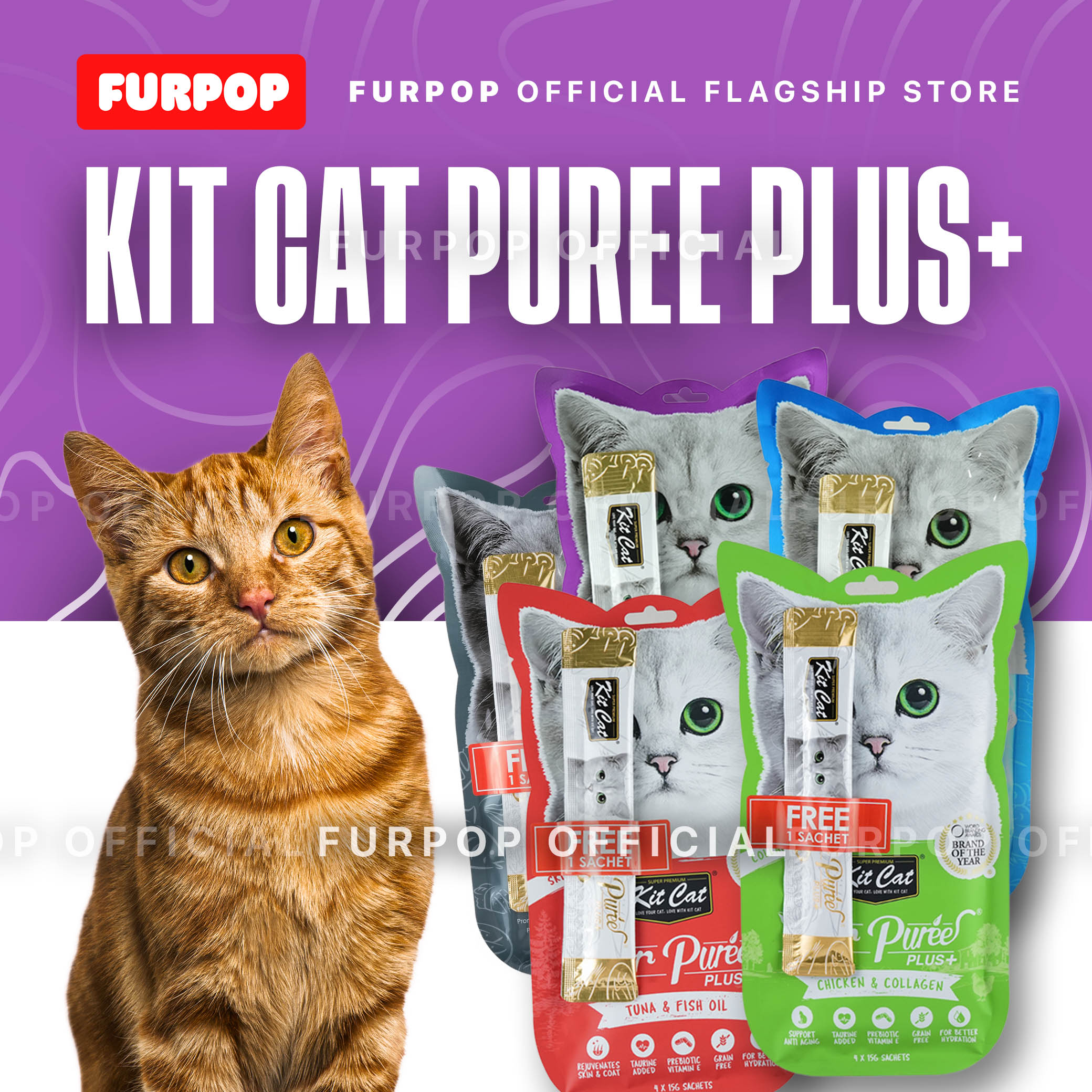 Kit Cat PureePlus