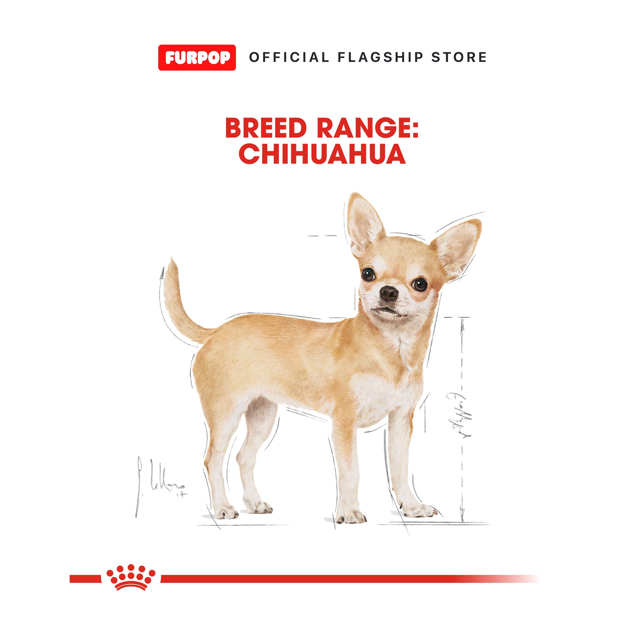 Royal Canin 12pcs Chihuahua Adult (85g x 12 pouches) 1BOX Wet Dog Food - Breed Health Nutrition