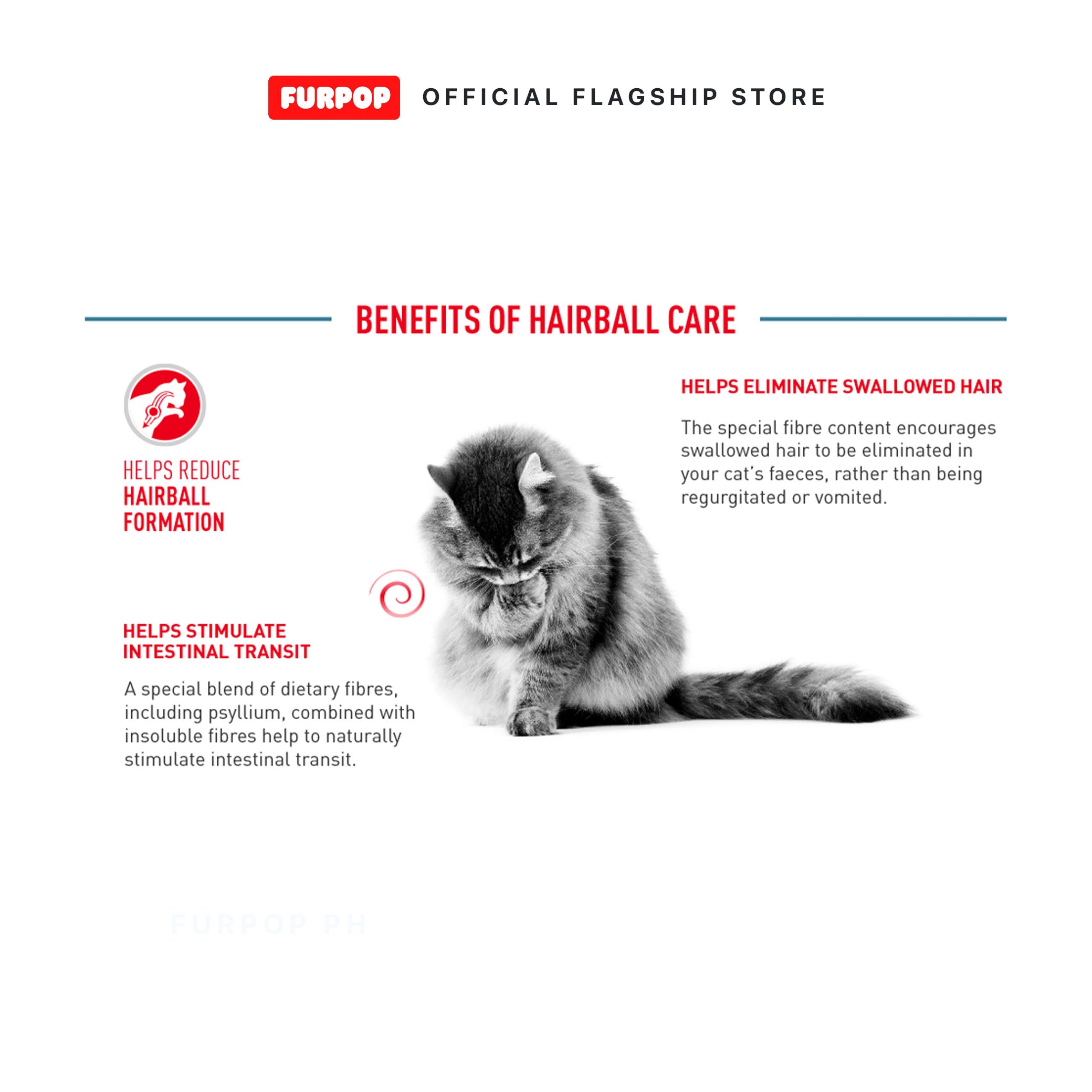 Royal Canin Hairball Care (2kg) Adult Dry Cat Food - Feline Care Nutrition