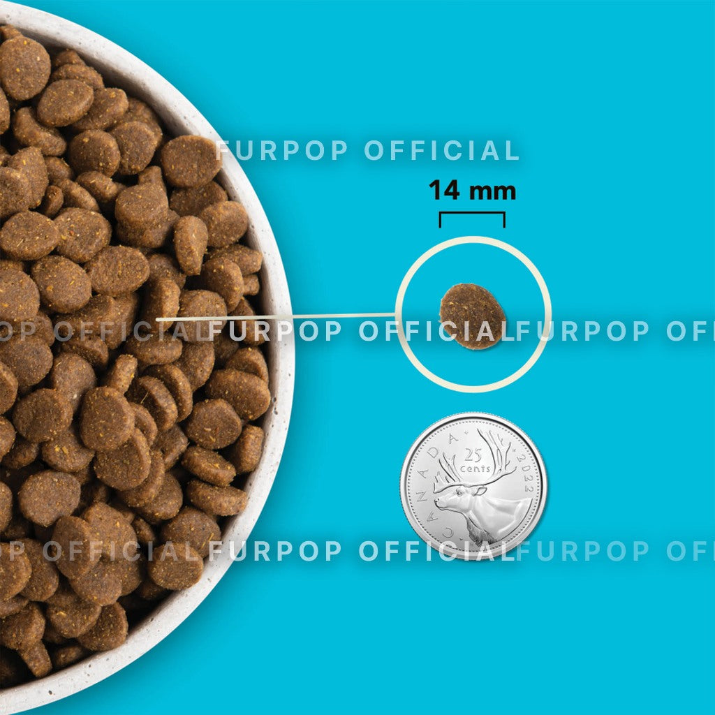 Acana 11.4KG Pacifica Dry Dog Food Highest Protein Premium Dog Food | FURPOP