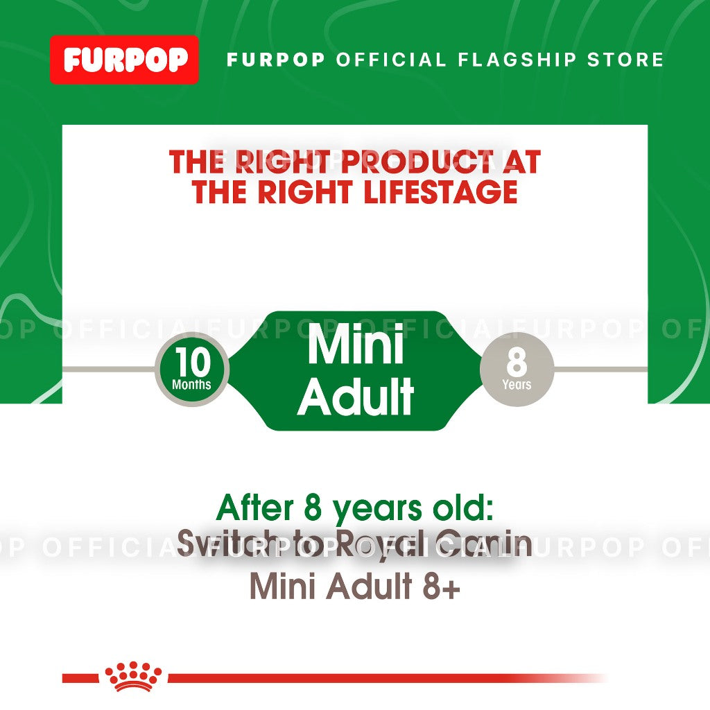 Royal Canin 2KG Adult Mini Size Health Nutrition Adult Mini Dry Dog Food | FURPOP