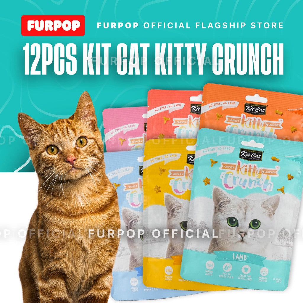 Kit Cat Kitty Crunch 12pcs | FURPOP