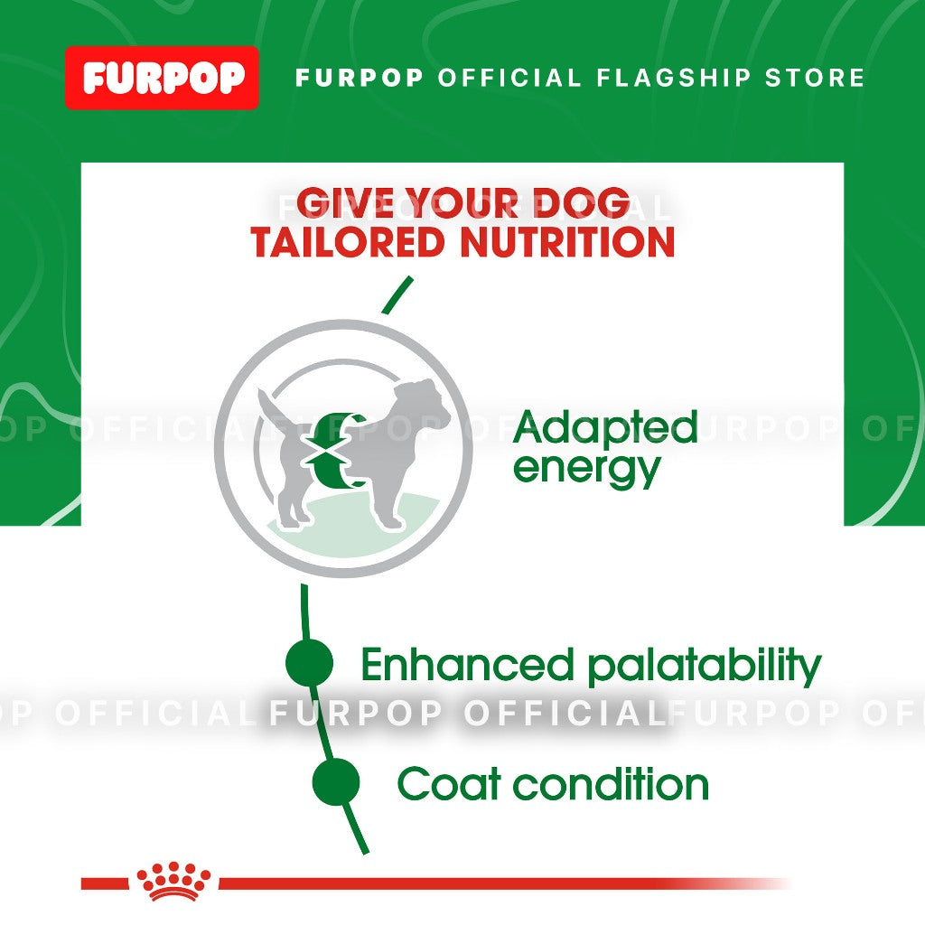 Royal Canin 2KG Adult Mini Size Health Nutrition Adult Mini Dry Dog Food | FURPOP
