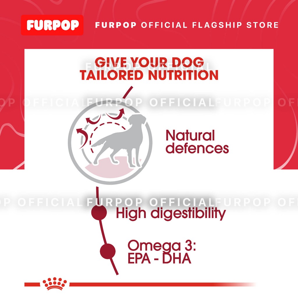 Royal Canin Medium Adult (4KG) Dry Dog Food - Size Health Nutrition | FURPOP