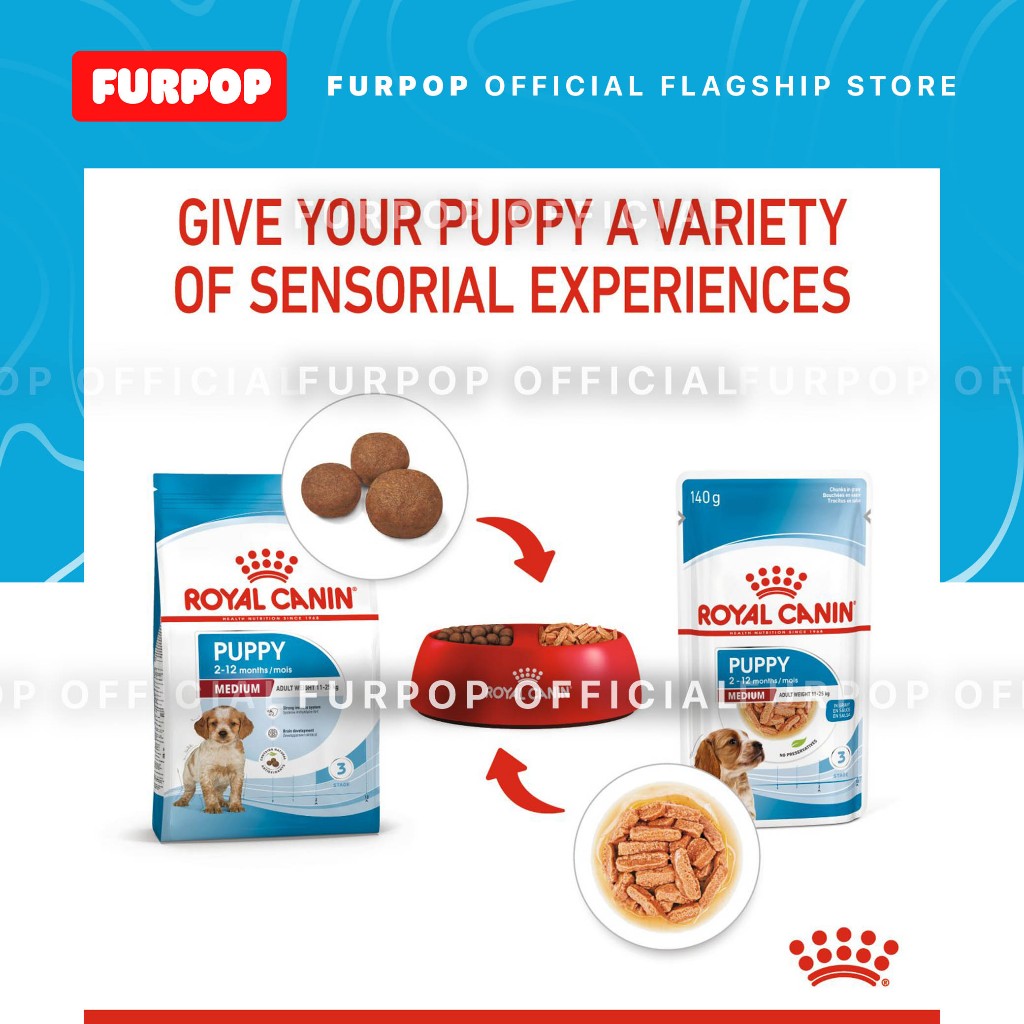 Royal Canin Medium Puppy (140g x 10 pouches) Wet Food - Size Health Nutrition | FURPOP