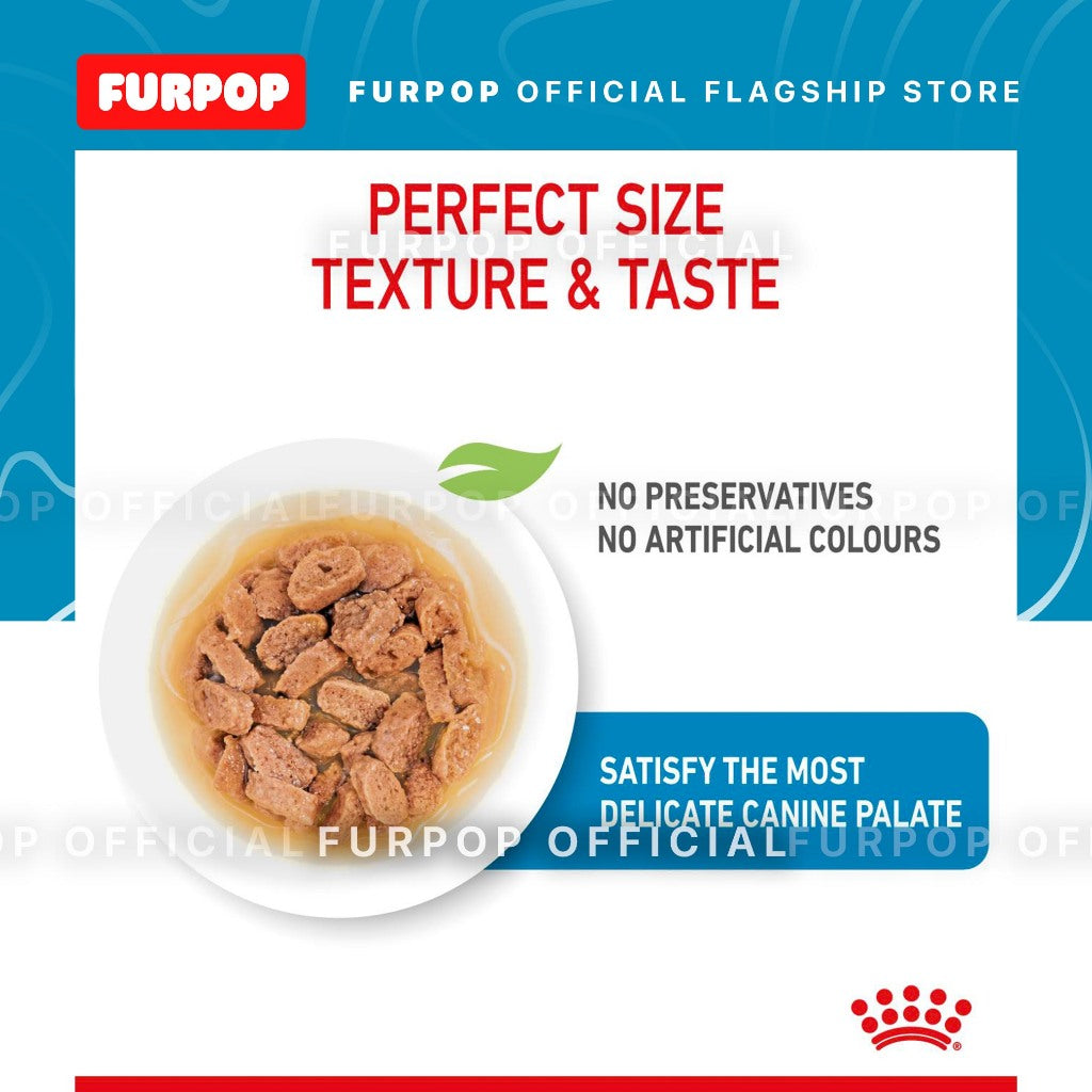 Royal Canin 12pcs Mini Puppy 85g x12pcs. Wet Dog Food - Size Health Nutrition | FURPOP