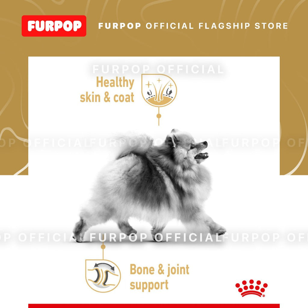 Royal Canin 3KG Adult Pomeranian Dry Dog Food Breed Health Nutrition 3KG | FURPOP