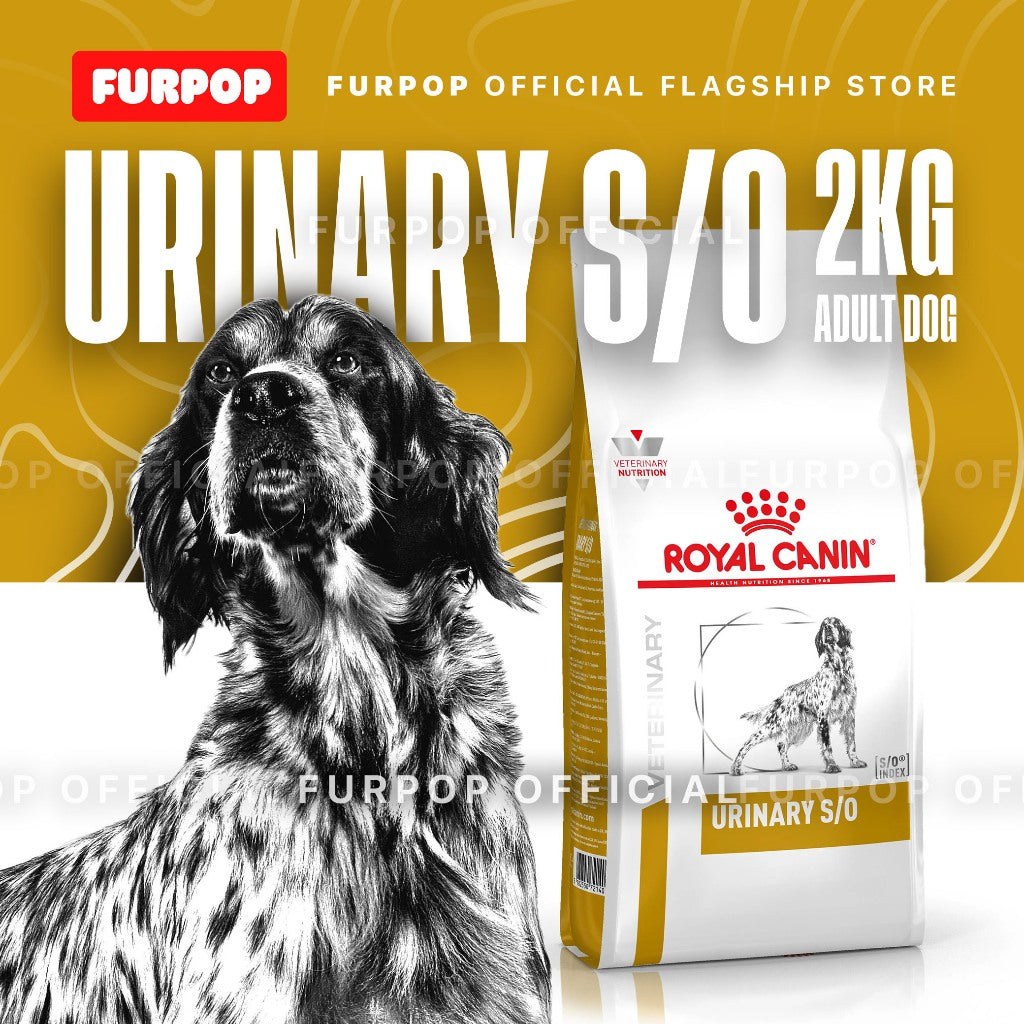 Royal Canin 2KG Urinary S/O Adult Dry Food Canine VHN Premium Dog Food