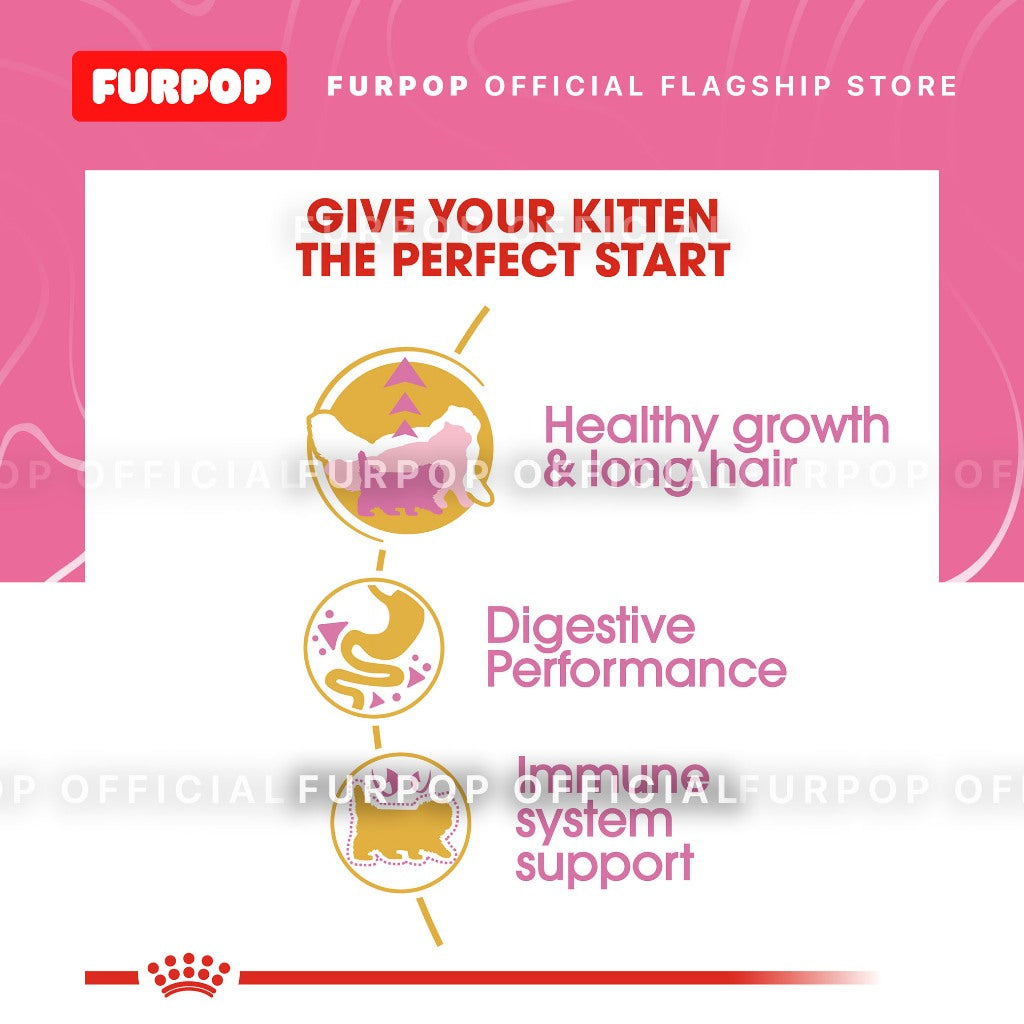 Royal Canin Persian Kitten (2KG) Dry Cat Food - Feline Breed Nutrition | FURPOP