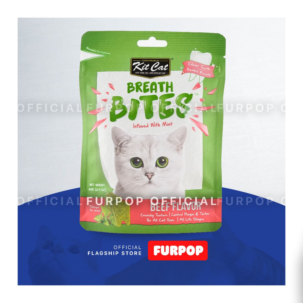 Kit Cat Breath Bite Cat Chicken Lamb Salmon Seafood Kitten
