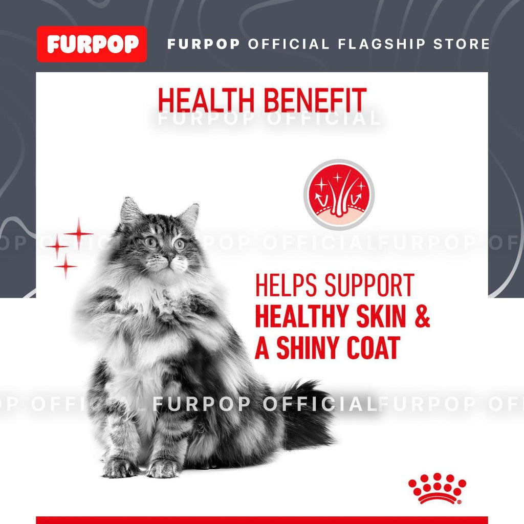 Royal Canin Hair and Skin 85gx12 Pouch Adult Wet Cat Food - Feline Care Nutrition | FURPOP