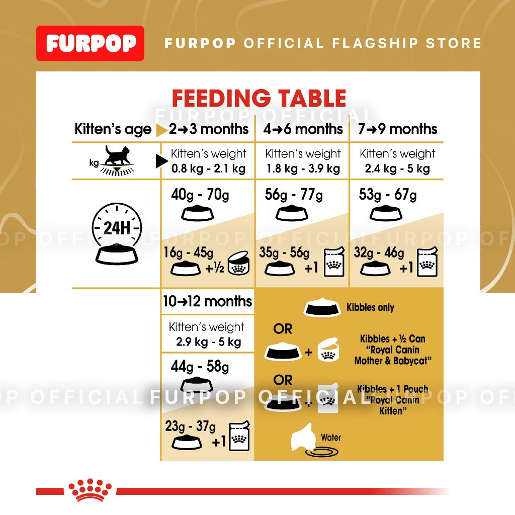 Royal Canin British Shorthair KITTEN 2KG Dry Cat Food - Feline Breed Nutrition | FURPOP
