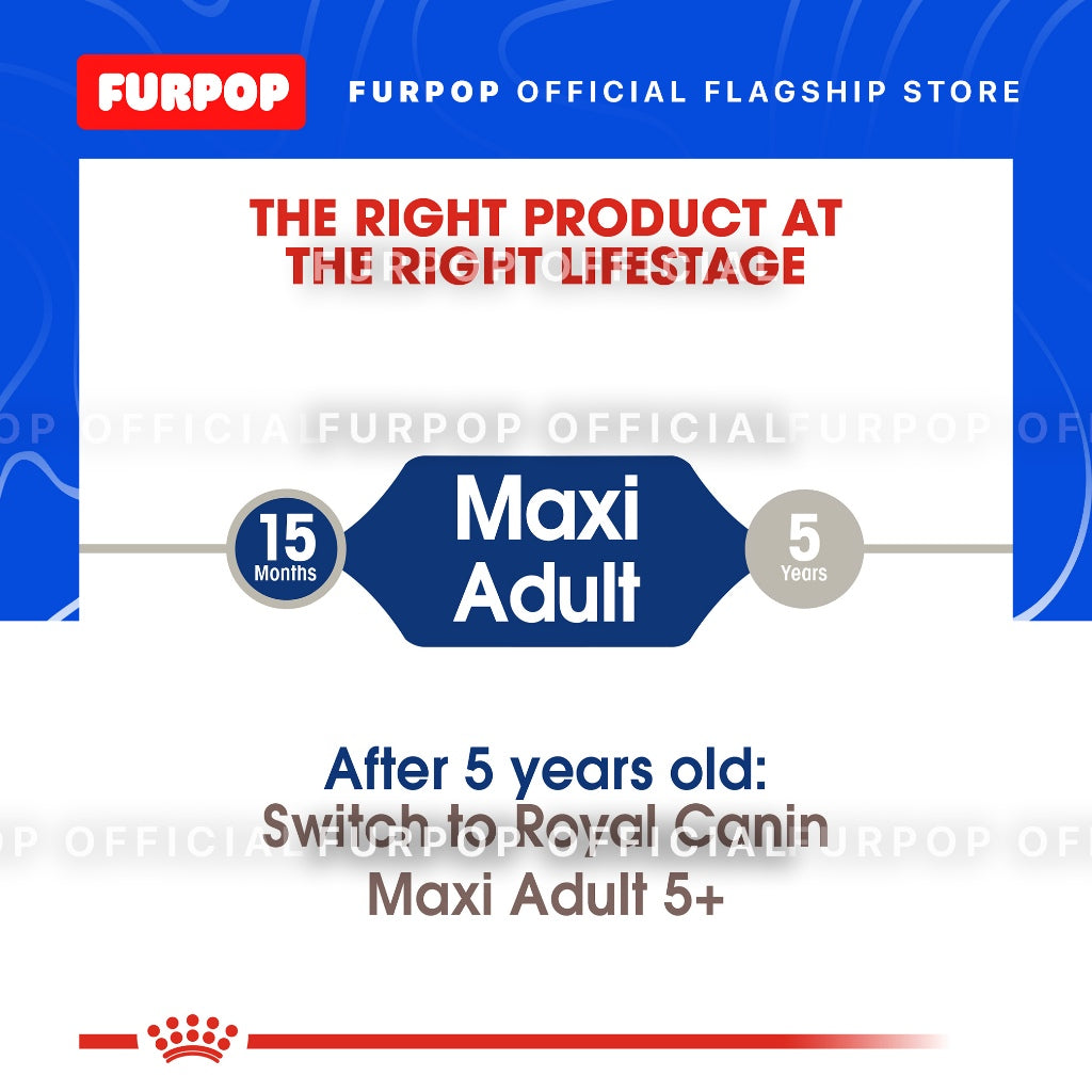 Royal Canin Maxi Adult (15kg) Dry Dog Food - Size Health Nutrition | FURPOP