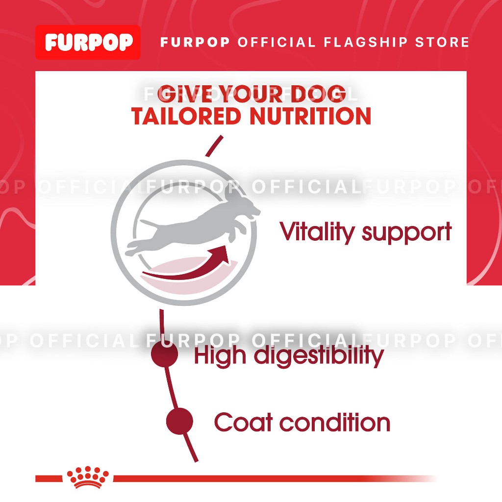 Royal Canin Medium Adult 7+ (4KG) Dry Dog Food - Size Health Nutrition | FURPOP