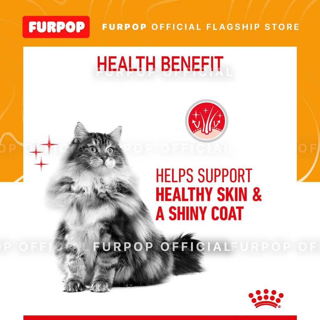 Royal Canin Hair & Skin Care 10KG Adult Dry Cat Food - Feline Care Nutrition