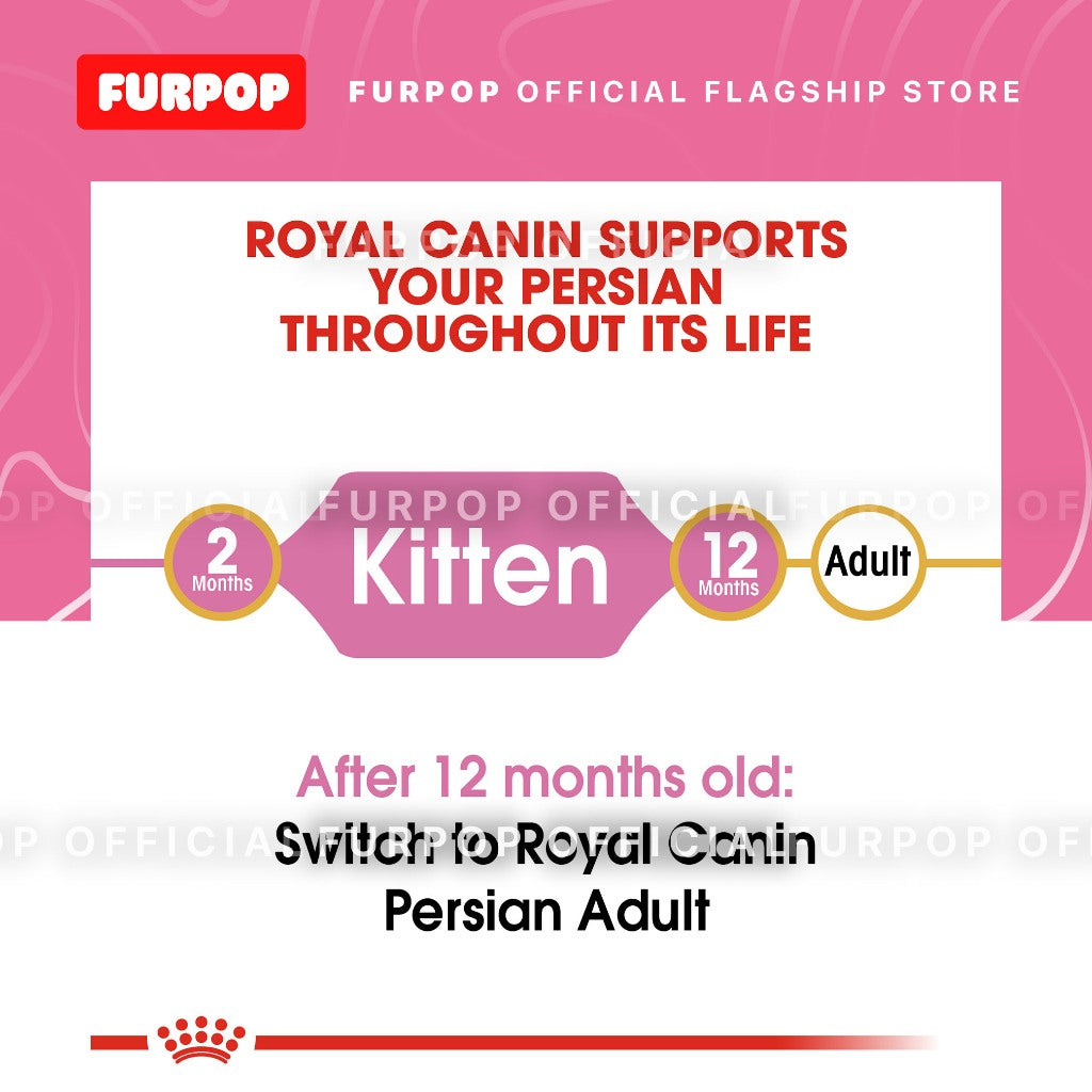 Royal Canin Persian Kitten (2KG) Dry Cat Food - Feline Breed Nutrition | FURPOP