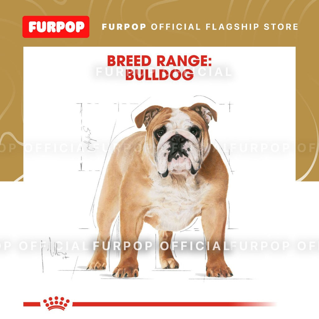 Royal Canin Bulldog Adult (3kg) Dry Dog Food - Breed Health Nutrition