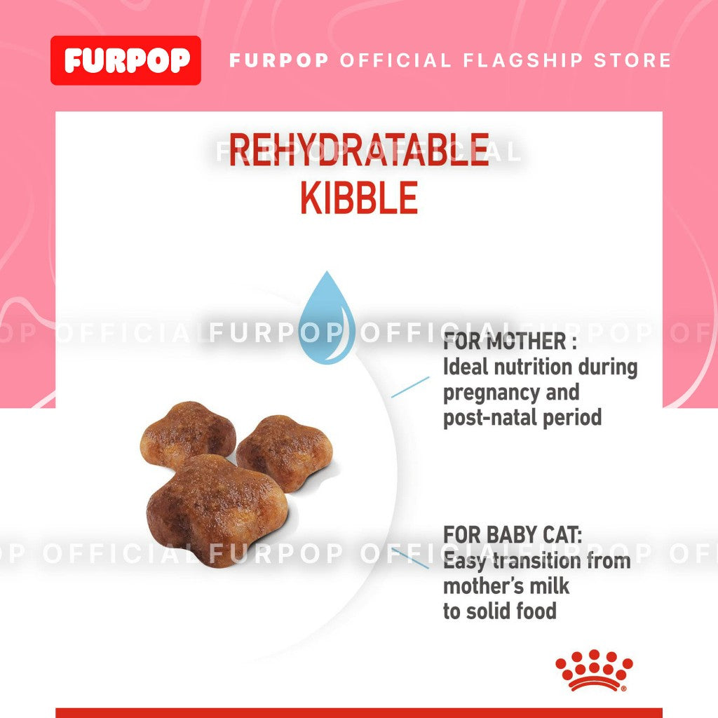 Royal Canin Mother & Babycat 4KG Premium Dry Food | FURPOP