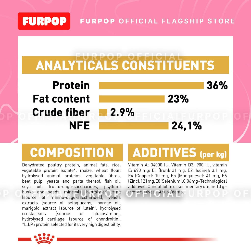 Royal Canin Maine Coon Kitten (2kg) Dry Cat Food - Feline Breed Nutrition | FURPOP