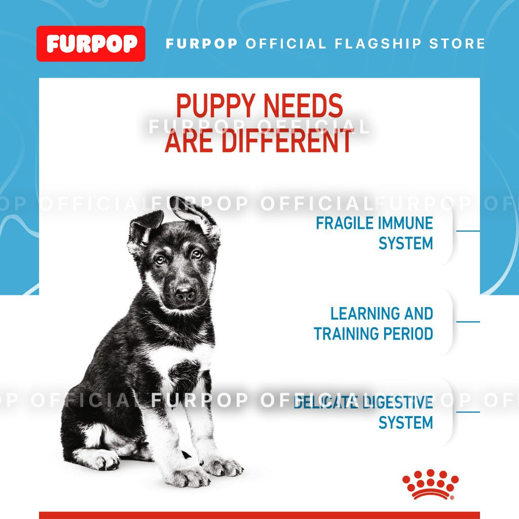 Royal Canin Maxi Puppy (4KG) Dry Dog Food - Size Health Nutrition | FURPOP