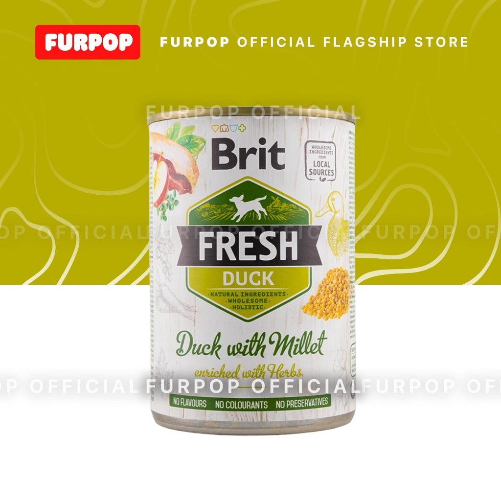 12pcs Brit Fresh Dog Wet Food Can 400G | FURPOP