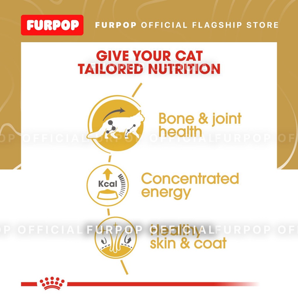 Royal Canin 12pcs Maine Coon Adult 85g x 12pcs(1box) Wet Cat Food - Feline Breed Nutrition | FURPOP