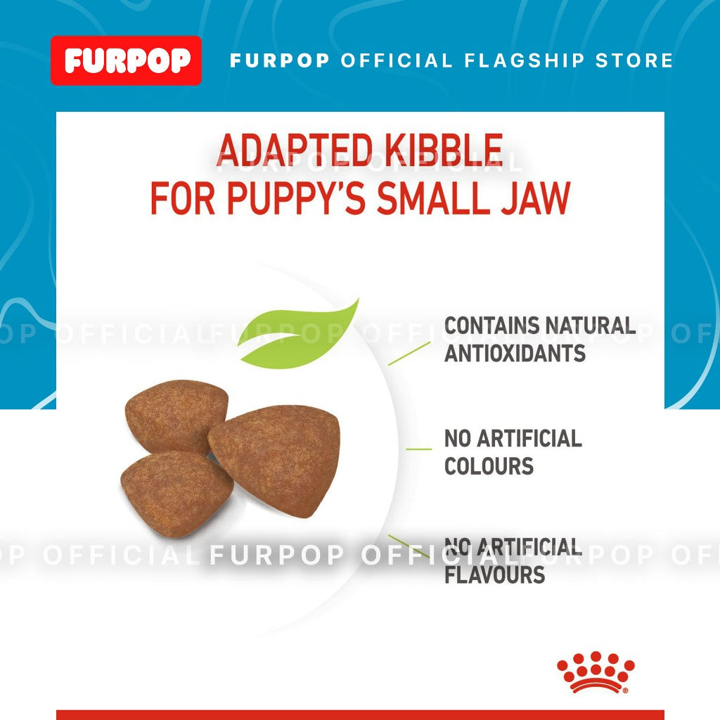 Royal Canin 1.5KG Mini Indoor Puppy (1.5kg) Dry Dog Food - Size Health Nutrition