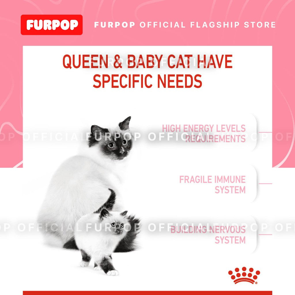 Royal Canin Mother & Babycat 4KG Premium Dry Food | FURPOP