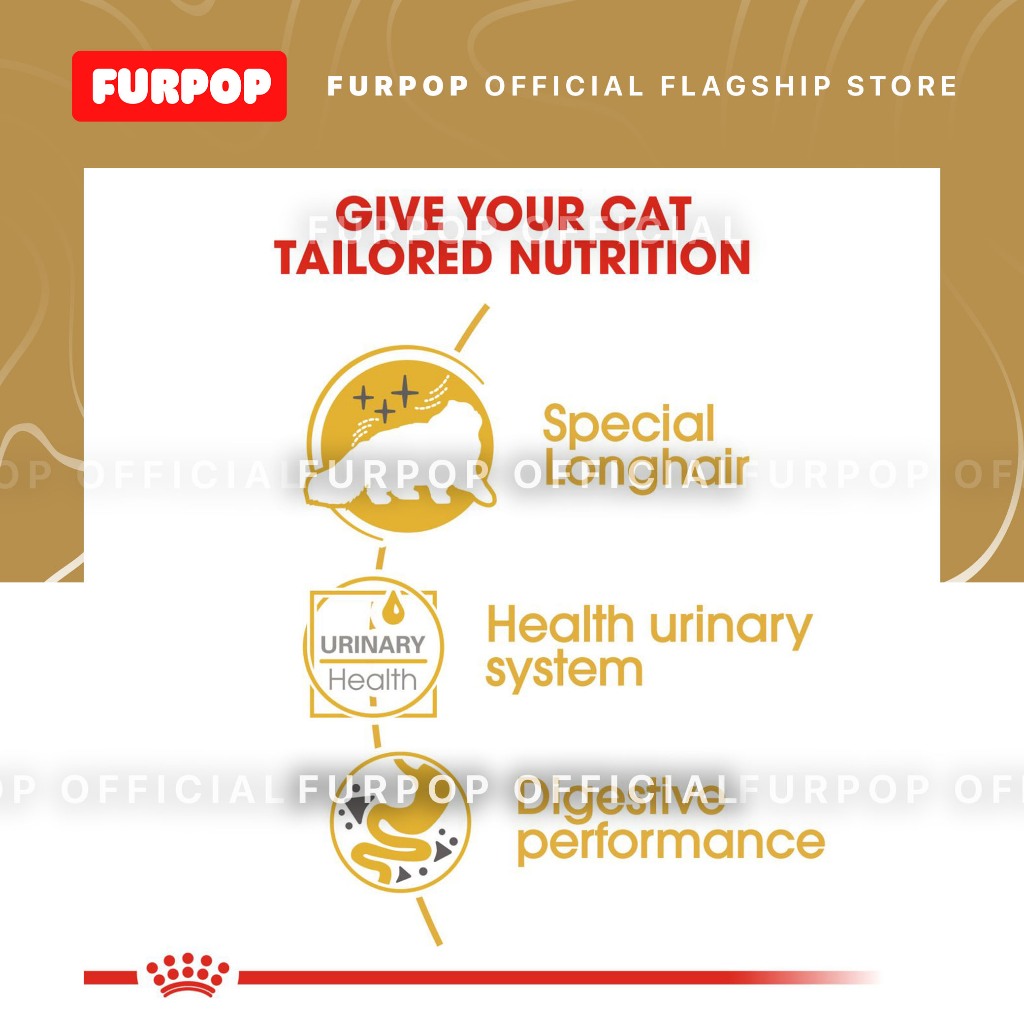 Royal Canin Persian Adult (12pcs Pouch 85g - 1BOX) Wet Cat Food - Feline Breed Nutrition