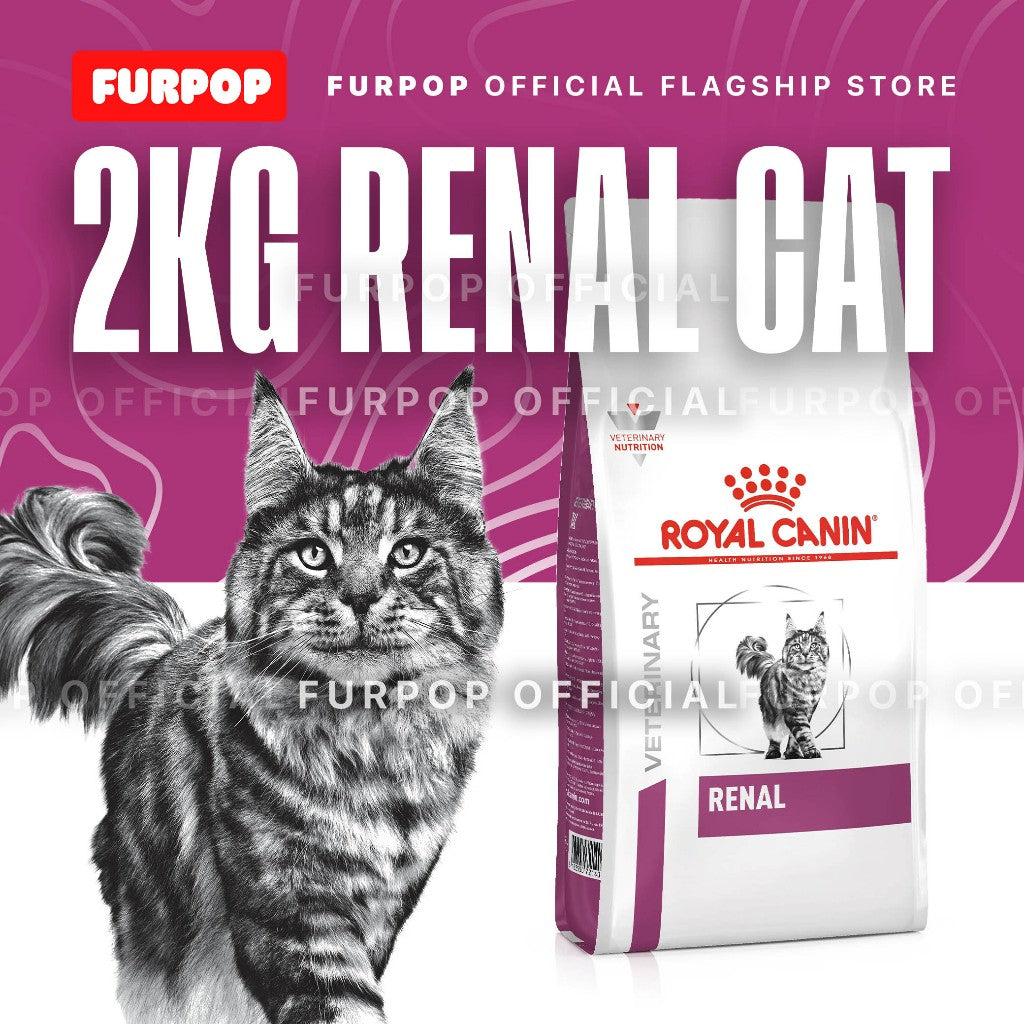 Royal Canin Renal Cat 2KG Veterinary Care Nutrition | FURPOP