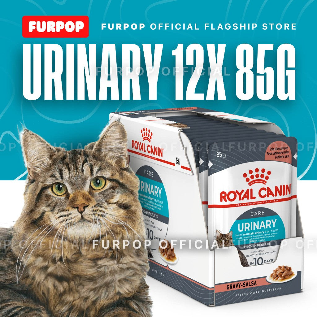 Royal Canin Urinary Care 85gx12pcs Adult Wet Cat Food - Feline Care Nutrition | FURPOP