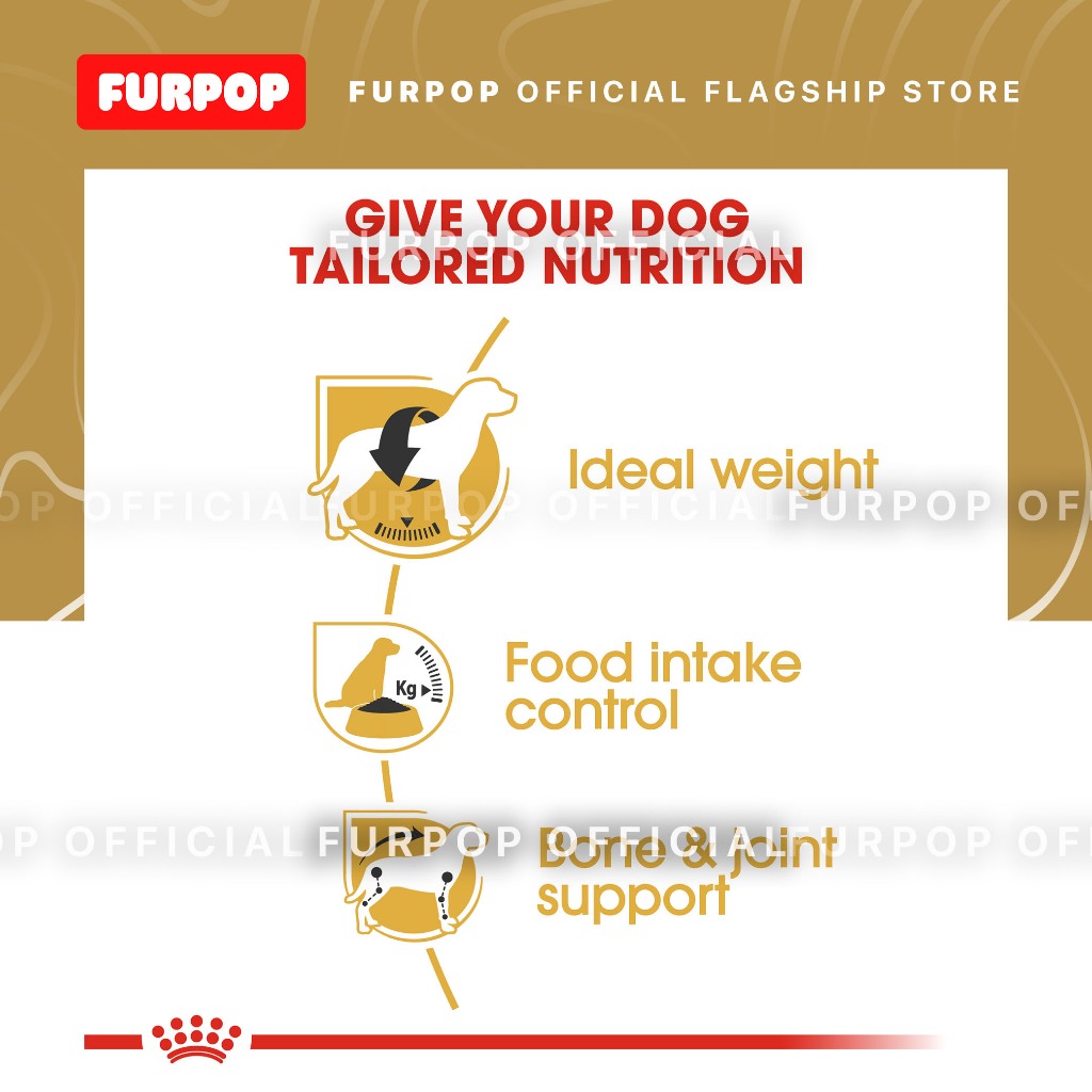 Royal Canin Beagle Adult (3kg) Dry Dog Food - Breed Health Nutrition | FURPOP