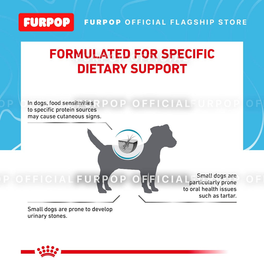 Royal Canin Hypoallergenic Small Dogs 3.5kg | FURPOP