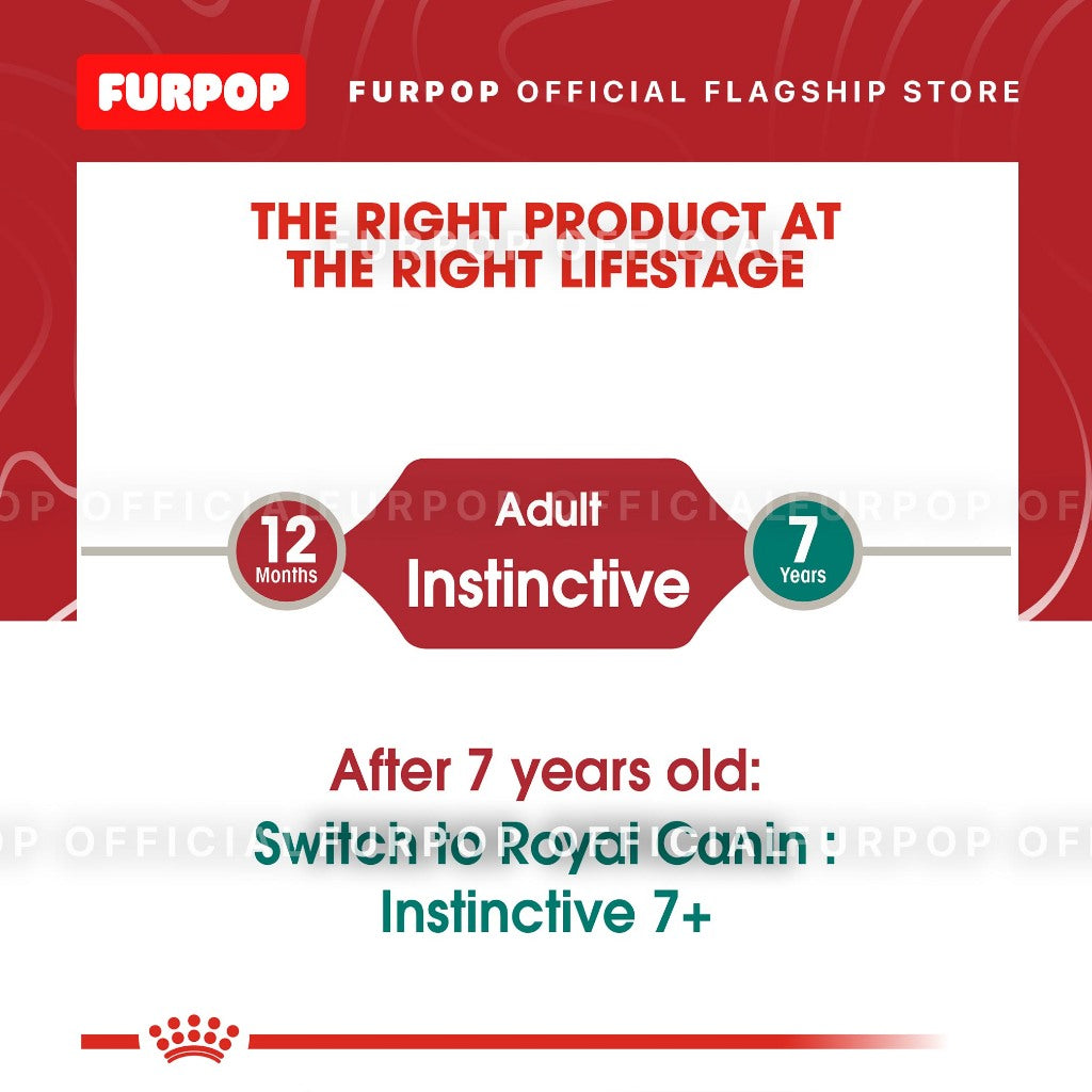 Royal Canin 12pcs Instinctive 85g x 12pcs(1box) Adult Wet Cat Food Feline Health Nutrition | FURPOP