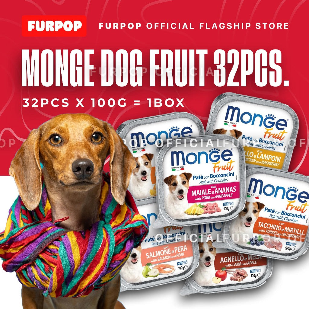 Monge Fruit Wet Food for Dogs 32pcs x 100G (1 BOX) | FURPOP