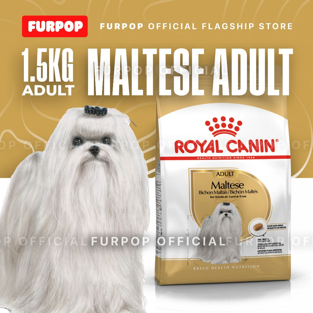 Royal Canin 1.5KG Maltese Adult Dry Dog Food - Breed Health Nutrition | FURPOP