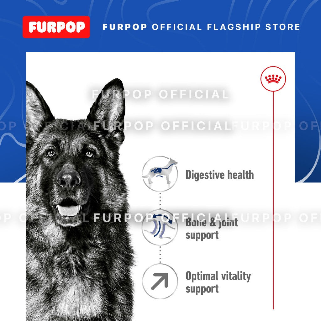 Royal Canin Maxi 5+ Adult (4KG) Dry Dog Food - Size Health Nutrition | FURPOP