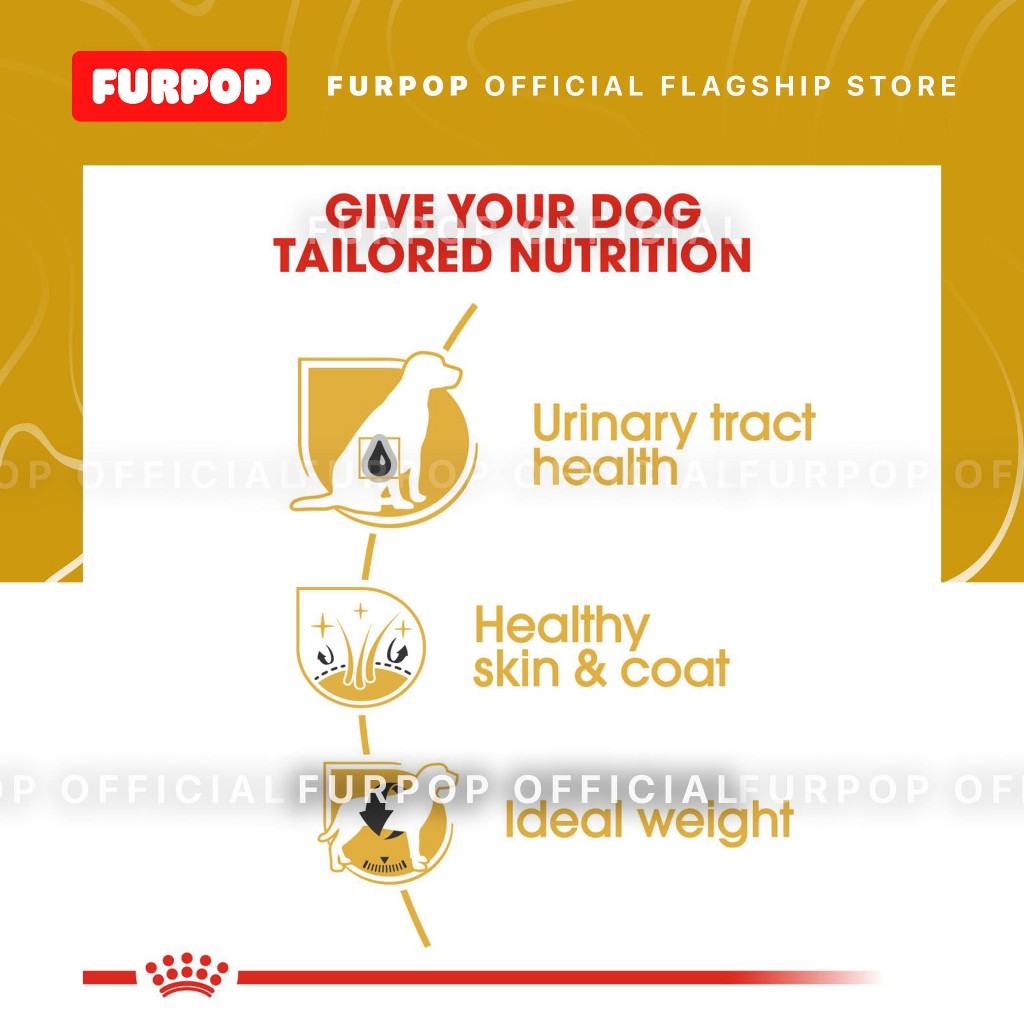 Royal Canin Bichon Frise Adult (1.5KG) Dry Dog Food | FURPOP