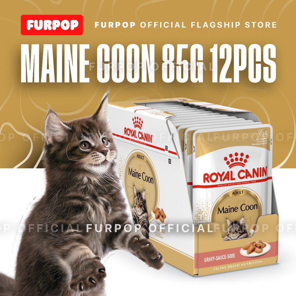 Royal Canin 12pcs Maine Coon Adult 85g x 12pcs(1box) Wet Cat Food - Feline Breed Nutrition | FURPOP