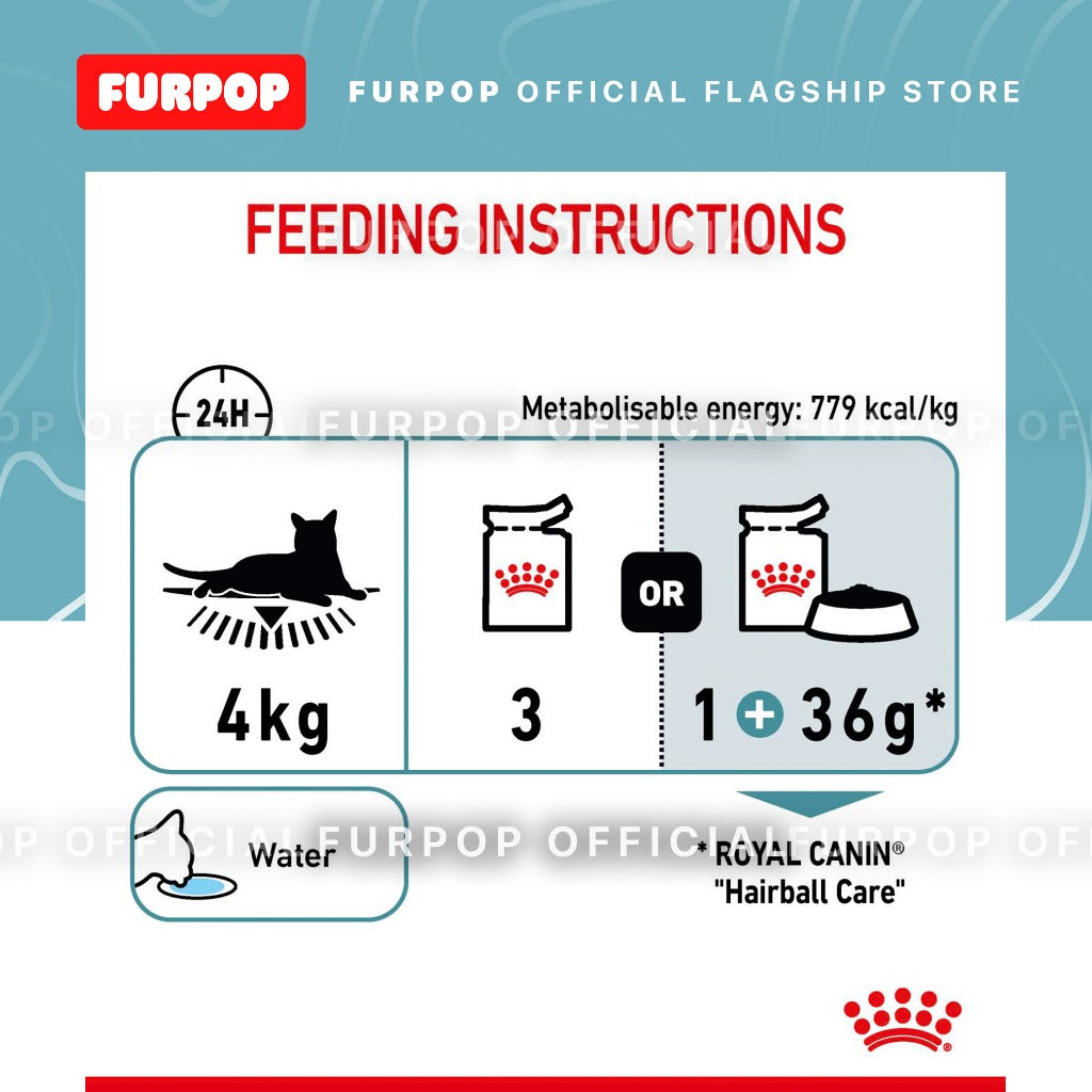 Royal Canin 12pcs Hairball Care (85g x 12 pouches) Adult Wet Cat Food - Feline Care Nutrition