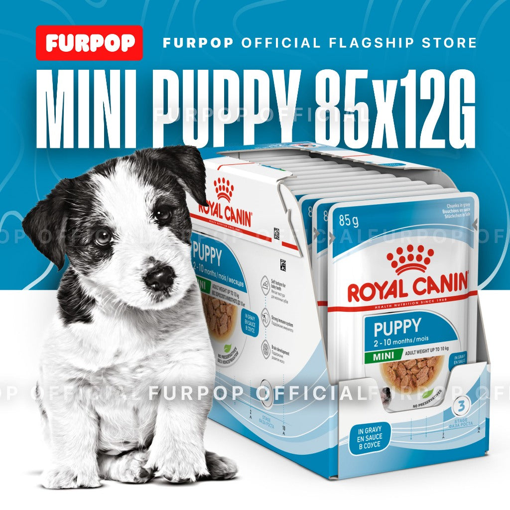 Royal Canin 12pcs Mini Puppy 85g x12pcs. Wet Dog Food - Size Health Nutrition | FURPOP