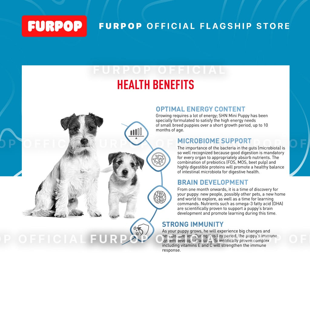 Royal Canin Mini Puppy 2KG Dry Dog Food - Size Health Nutrition | FURPOP