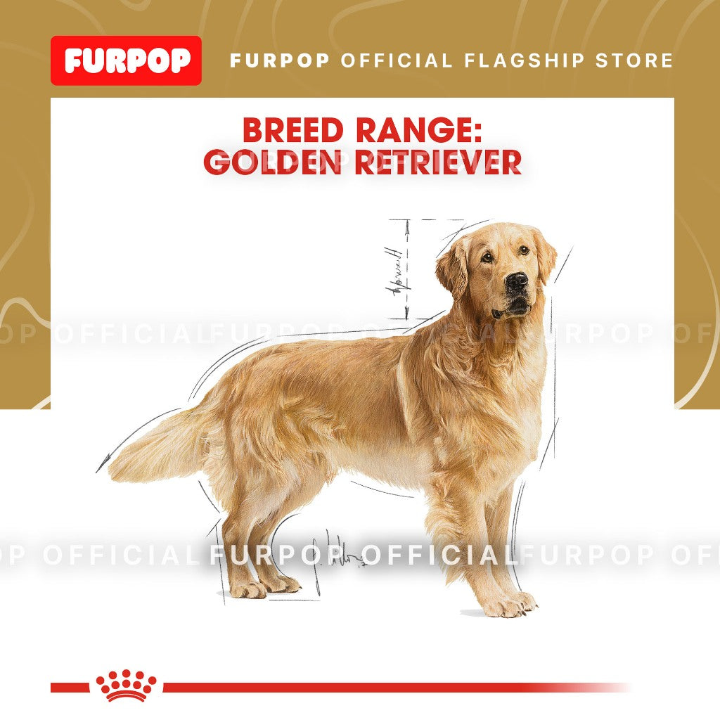 Royal Canin Golden Retriever Adult (3kg) Dry Dog Food - Breed Health Nutrition