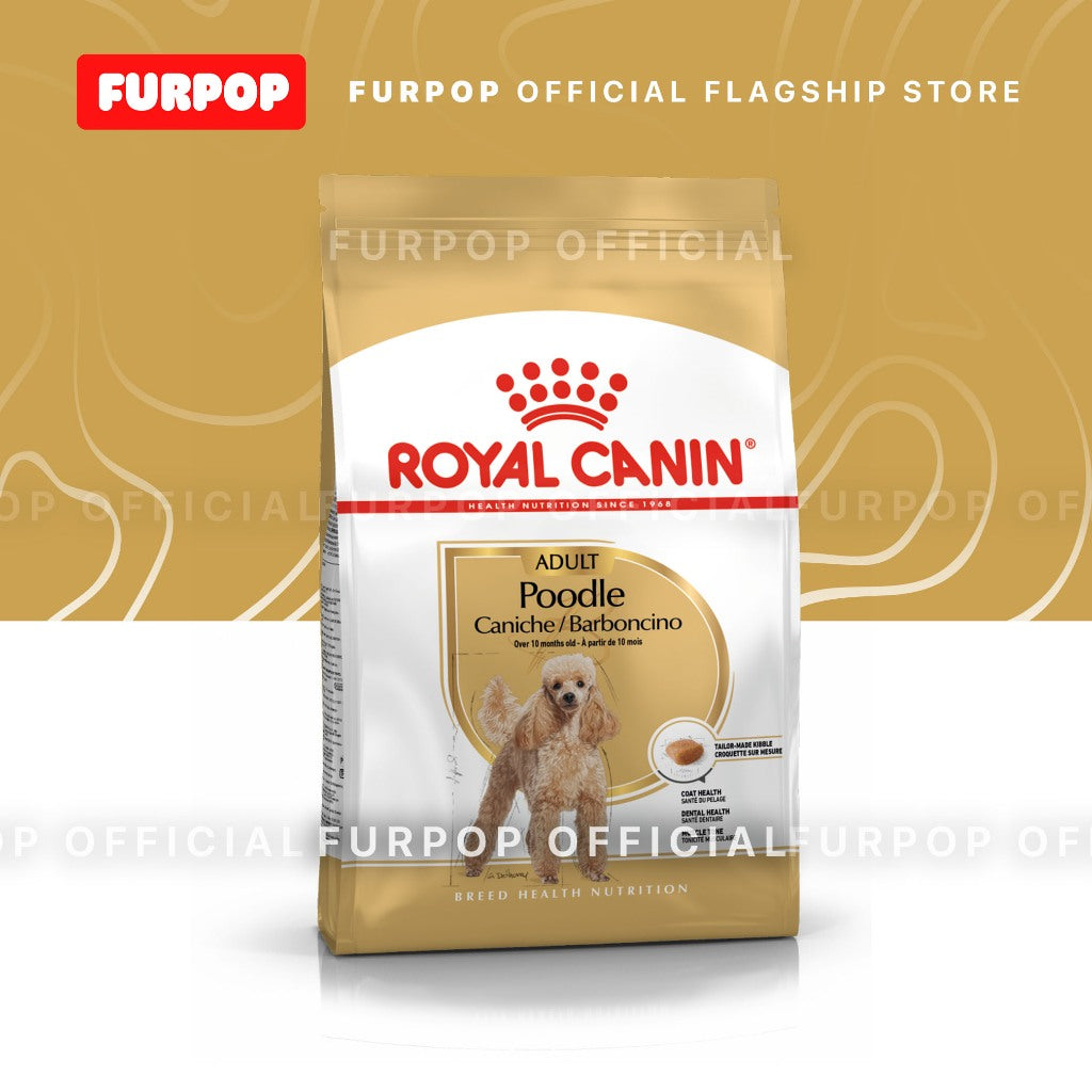 Royal Canin 1.5KG Poodle Adult Dry Dog Food - Breed Health Nutrition | FURPOP
