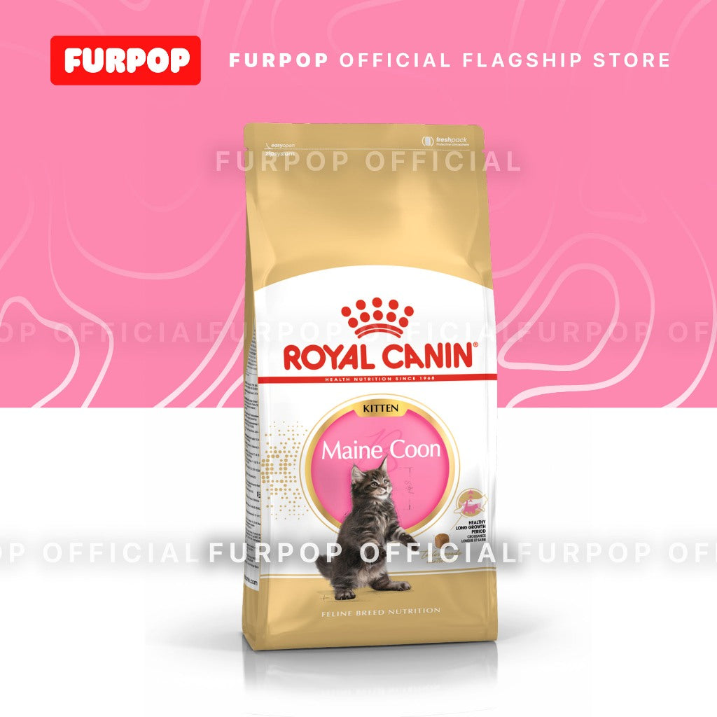Royal Canin Maine Coon Kitten (2kg) Dry Cat Food - Feline Breed Nutrition | FURPOP