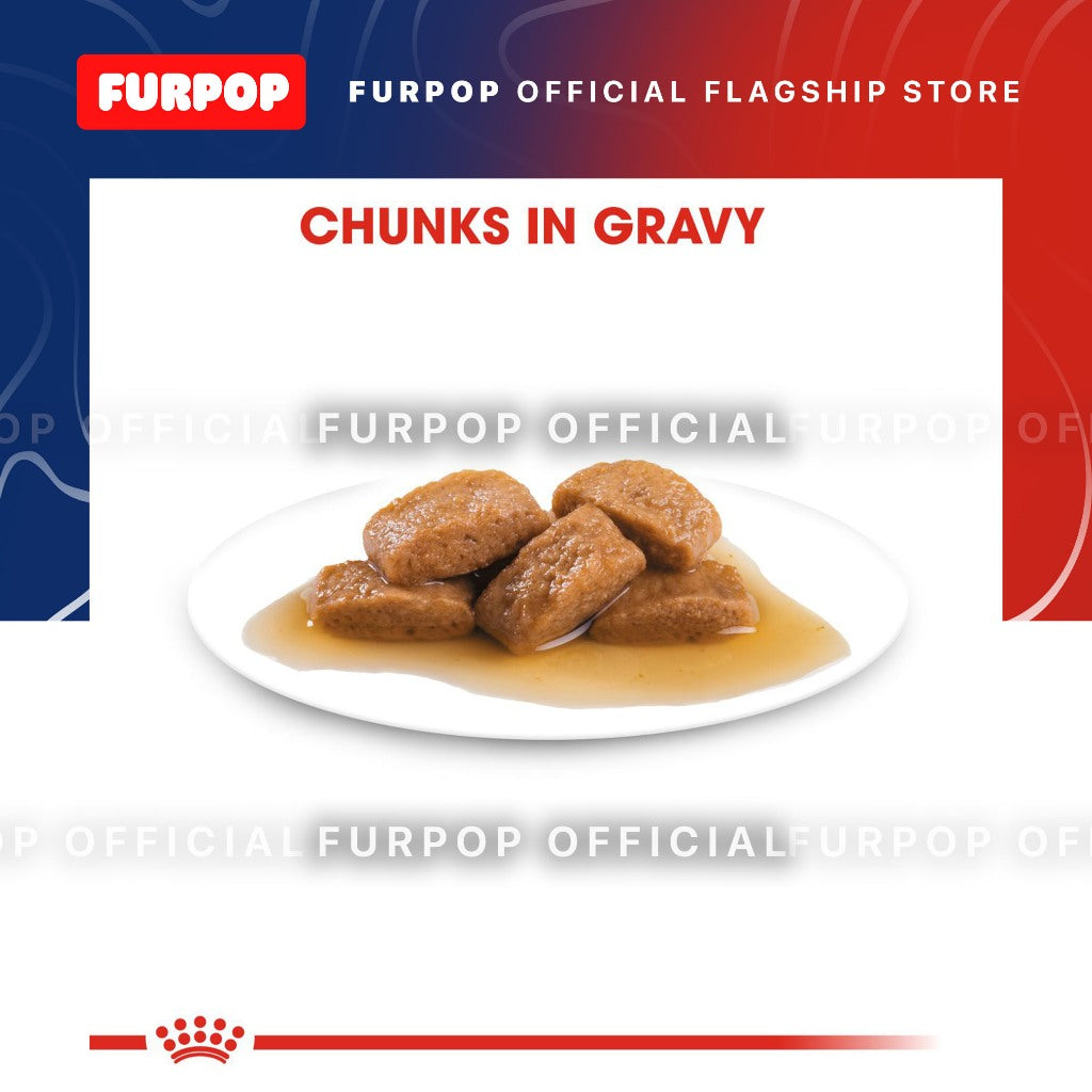 Royal Canin Maxi Adult (140g x 10 pouches) Wet Dog Food - Size Health Nutrition | FURPOP