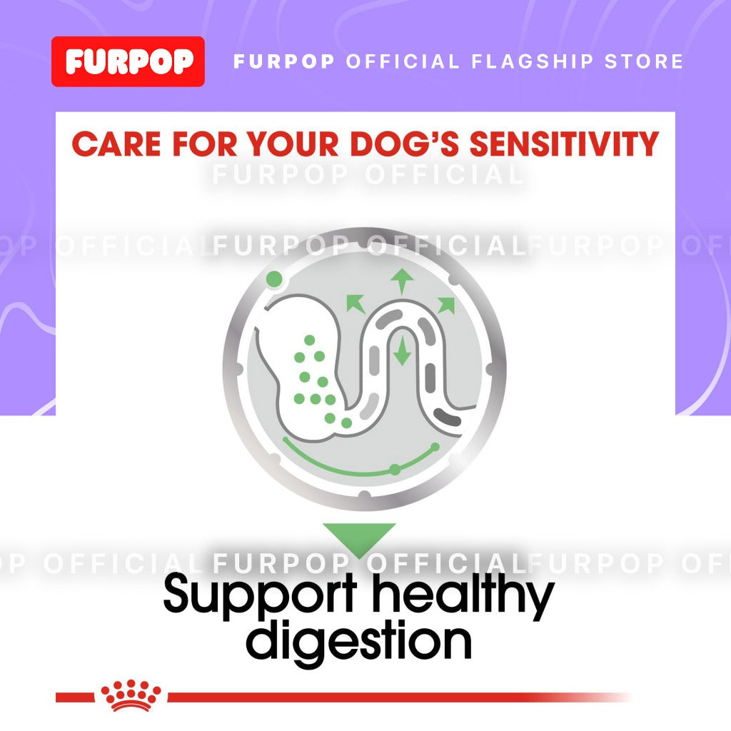 Royal Canin 12pcs Digestive Care (85g x 12 pouches) Adult Wet Dog Food - Canine Care Nutrition