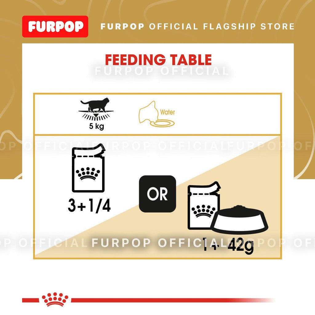 Royal Canin British Shorthair Adult 85Gx12 Wet Cat Food - Feline Breed Nutrition | FURPOP