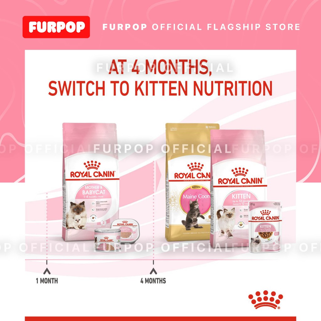 Royal Canin Mother & Babycat 4KG Premium Dry Food | FURPOP
