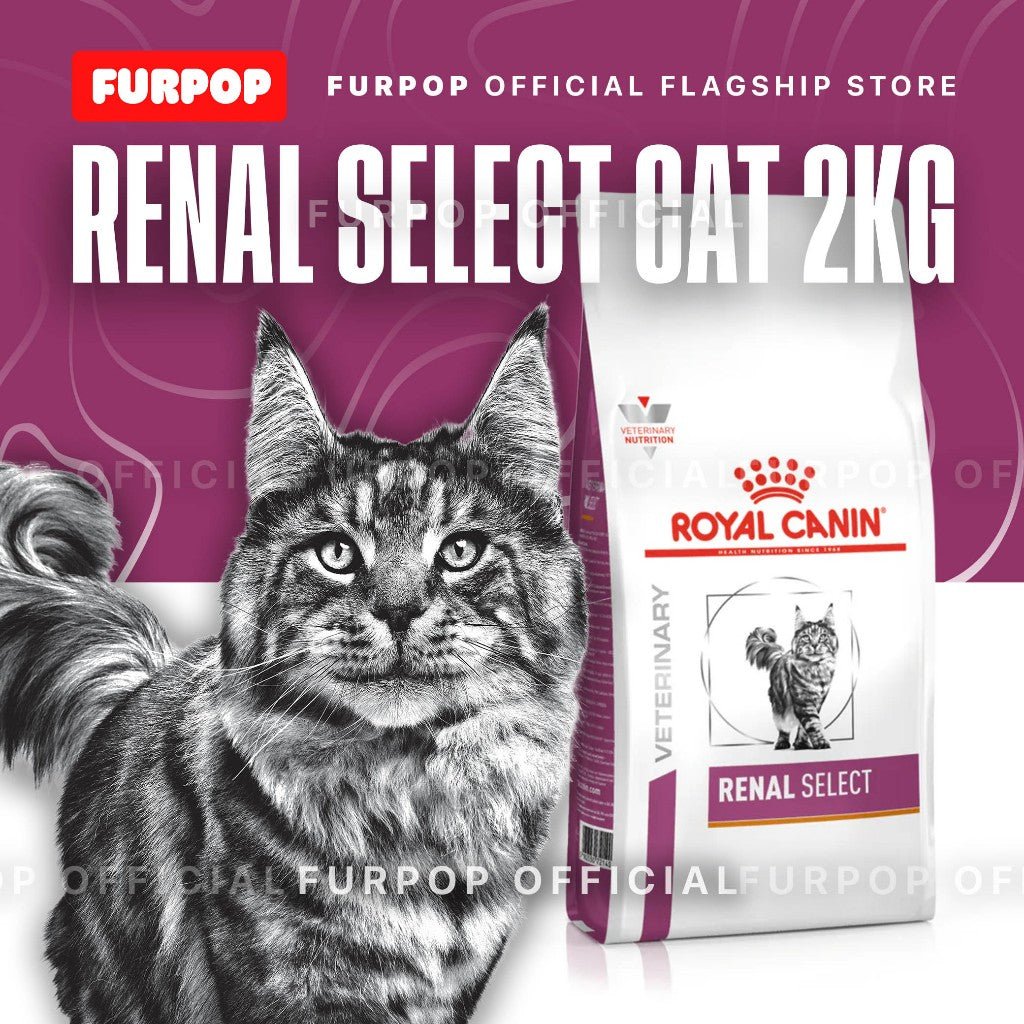Royal Canin Renal Select for Feline Cat Food 2KG Veterinary Diet | FURPOP